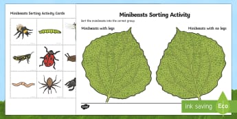 Minibeasts Legs or No Legs Sorting Activity - sorting, activity, sorting activity, minibeasts, minibeast legs, minibeast sorting activity, sorting game