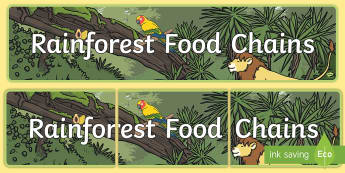 Rainforest Food Chains Display Banner - Food Chains Display Banner - food, chains, chain, eating, rainforest, display, banner, sign, poster,