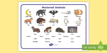 Nocturnal Animals Word Mat - animals, nocturnal, night, word mat, writing aid, mat, mole, owl, badger, bat, toad, mouse, hedgehog, fox, rabbit, cat, hamster, shadow, reflection, reflective