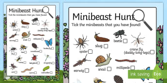 Minibeast Hunt Sheet - Minibeast hunt, minibeast investigation, finding minibeasts, Minibeasts, Topic, Foundation stage, knowledge and understanding of the world, investigation, living things, snail, bee, ladybird, butterfly, spider