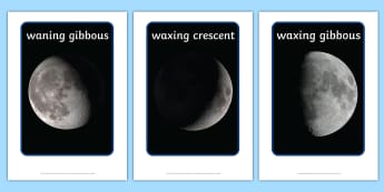 Phases of the Moon Display Photos - display, photos, photo, phases of the moon, the moon, space, moon, moon display photos, set of photos, photos for display, classroom display