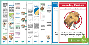 KS2 Extreme Earth: Focused Reading Skills Comprehension Pack  - Year 3, Year 4, Year 5, Year 6, reading comprehension, inference, understanding, reading dogs, SATs 