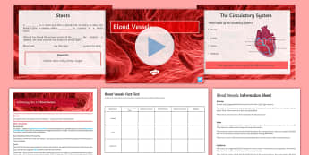 AQA Biology Unit 4.2 Blood Vessels Cover Lesson Pack - blood vessel, vein, artery, capillaries, valves, oxygenated, de-oxygenated 