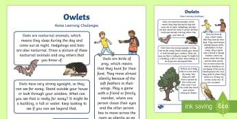 Owlets Home Learning Challenges Nursery FS1 - EYFS Owlets, Owl Babies, Martin Waddell, home learning, home work, parents links, home links, activi