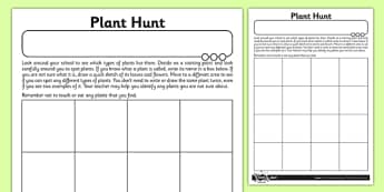 Plant Hunt Activity Sheet - plant, growth, local area, hunt, activity, sheet, worksheet