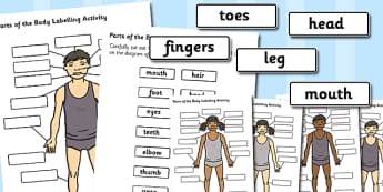 Body Parts Labelling Activity - body parts, labelling, activity, label