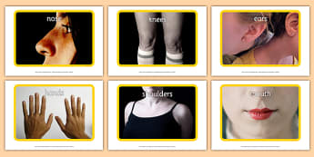 My Body Display Photos - body, human, leg, arm, pictures, images, me, myself, ourselves, people, eyes, nose, biology, names, body parts