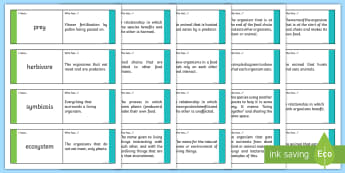 Living Things Relationships Loop Cards - ACSSU073, follow me, symbiosis, predator, prey, food chain, food web, parasitism, mutualism, commens