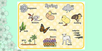 Spring Word Mat - Spring, word mat, writing aid, lambs, daffodils, new life, flowers, buds, plants, growth