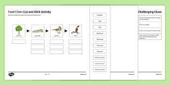 Woodland Food Web Cut and Stick Activity Sheet, worksheet, plenary activity