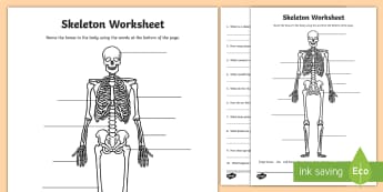Skeleton Worksheet - skeleton, the human skeleton, our bodies, skeleton worksheet, bones, human bones worksheet (Common Names), skeleton labelling worksheet, ks2