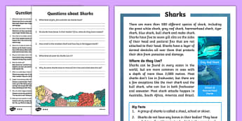 Sharks Differentiated Reading Comprehension Activity
