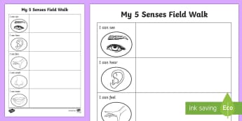 Five Senses Field Walk Worksheet - Science, Habitats, Australian Curriculum, Living, Environment, Living Things, Animals, Plants, Worksheet, Field Walk, Observations, Senses, EALD