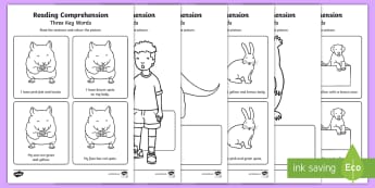 Three Key Word Reading Comprehension Activity Sheets - Worksheets, reading comprehension, three key words, ICW, DLS, listening, attention and listening