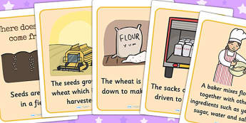 Bread Production Display Posters - bread, production, how to make bread, where does bread come from, seeds, harvest, flower, baker, bakery, shop