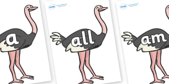 Foundation Stage 2 Keywords on Ostritches - FS2, CLL, keywords, Communication language and literacy,  Display, Key words, high frequency words, foundation stage literacy, DfES Letters and Sounds, Letters and Sounds, spelling