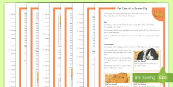 Pet Care of a Guinea Pig Differentiated Reading Comprehension Activity - pet care, guinea pig, reading comprehension, differentiated