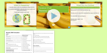 Science Club: Banana DNA Extraction Activity - DNA, dNA extraction, genetics, science club, banana, 