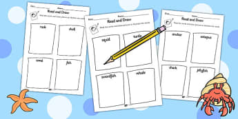 Under the Sea Read and Draw Worksheet - reading, drawing, sea
