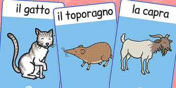 Italian Animals Display Posters - poster, displays, animal, Italy