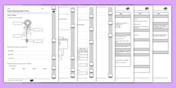 Y3 Plants End of Unit Assessment - plants, photosynthesis, investigation, test, assessment, green