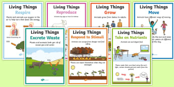 Characteristics of Living Things A4 Poster Set - Science, Year 3, Living, Non-Living, Characteristics, Poster, Australian Curriculum