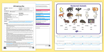 EYFS While We Are Sleeping Adult Input Plan and Resource Pack - Light and Dark, Nocturnal, Night time, diurnal, sleep, animals, night-time, 