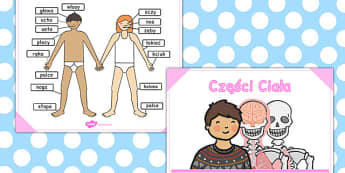 Plakat z czesciami ciala po polsku - szkola podstawowa, materialy
, Polish