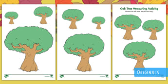 Oak Tree Measuring Activity - EYFS, Little Acorns, Twinkl Originals, Twinkl Fiction, Autumn, Seasons, Plants and Growth, Growing, 