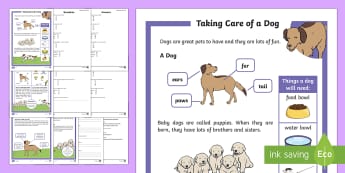 KS1 How To Look After a Dog Differentiated Reading Comprehension Activity - Pets, pet, EYFS, KS1, take, care, look, after, family, member, members, vet, vet surgery, surgery, i