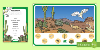 Desert Habitat Can You Find...? Poster - desert, desert habitat, desert animals, desert ecosystem, USA desert