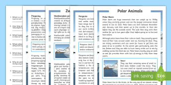 Winter Animals Differentiated Reading Comprehension Activity English/Polish - Winter 2016/17, weather, cold, freezing, fur, insulation, polar bear, penguin, blizzard, Arctic, Ant