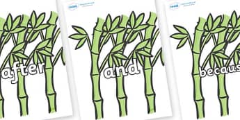 Connectives on Bamboo - Connectives, VCOP, connective resources, connectives display words, connective displays