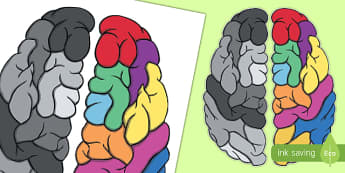 Large Display Growth Mindset Brain - display, growth mindset, brain