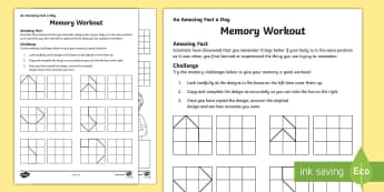 Memory Workout Activity Sheet