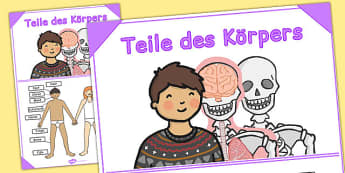 Teile des Körpers German - german, body, poster, display