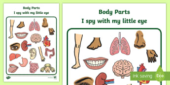 Body Parts 