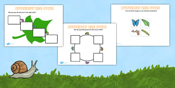 Butterfly Life Cycle Activity Sheets(Minibeasts) - Cocoon, Caterpillar, Egg, Minibeasts, Topic, Foundation stage, knowledge and understanding of the world, investigation, living things, snail, bee, ladybird, butterfly, spider
