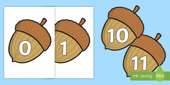 Numbers 0-30 on Acorns - Harvest, Acorn, Foundation Numeracy, Number recognition, Number flashcards, 0-30, A4, display, harvest,  harvest festival, fruit, apple, pear, orange, wheat, bread, grain, leaves, conker