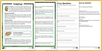 Hedgehogs Differentiated Reading Comprehension Activity