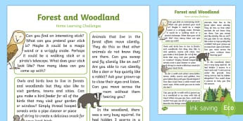 Forest and Woodland Home Learning Challenges Reception FS2 - woodland, forest, animals, british wildlife, trees, homework, home school links, parents, EYFS
