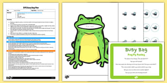 Frog Fly Posting EYFS Busy Bag Plan And Resource Pack - efys, early years, foundation, minibeasts, insects, planning, preparation, 