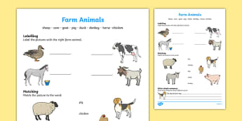 Farm Animals Activity Sheet, worksheet
