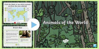 Animals From Around The World PowerPoint-animals from around the world, powerpoint, animals powerpoint, animals, species, information powerpoint