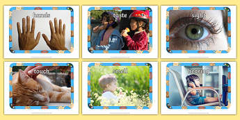 My Senses Display Photos