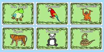 Editable Group Signs (Jungle & Rainforest) - Group signs, group labels, group table signs, table sign, teaching groups, class group, class groups, table label, A4, display, snake, forest, ecosystem, rain, humid, parrot, monkey, gorilla