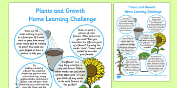 Plants and Growth Home Learning Challenges Reception FS2 - EYFS, homework, Early years, flowers, growing
