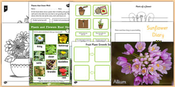 Top 10 Plants Resource Pack - top ten, top 10, plants, resource pack, resources