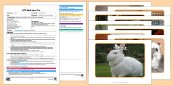 EYFS Name that Pet Adult Input Plan and Resource Pack - EYFS Pets, Animals, National Pet Month, pet, animals movements, walk, crawl, fly, hop, rabbit, dog, 