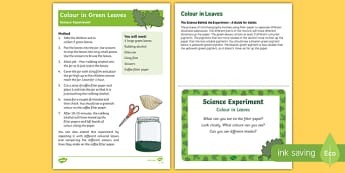 EYFS Colour in Leaves Science Experiment and Prompt Card Pack